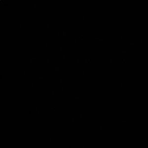 Meet your Posher, Alan